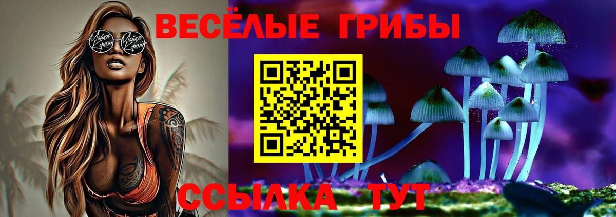Большой Камень  Псилоцибиновые грибы GOLDEN TEACHER  как найти закладки  Вход с VPN  Галлюциногенные грибы Psilocybe 